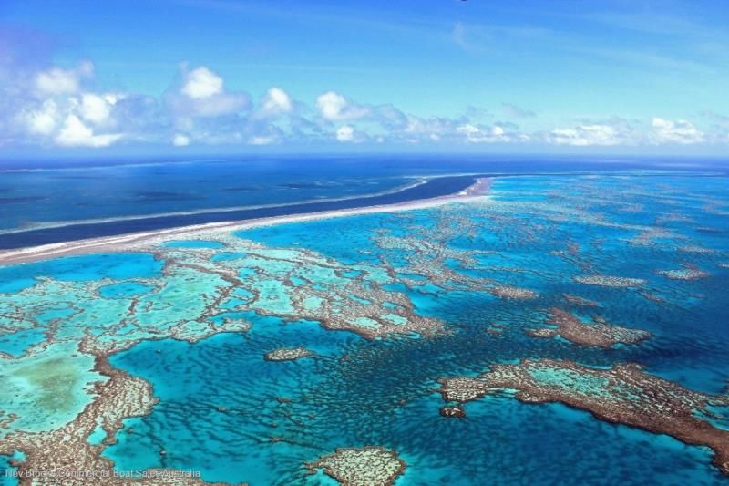 Image for 2024 Custom GBRMPA Special Tourism Permit 0