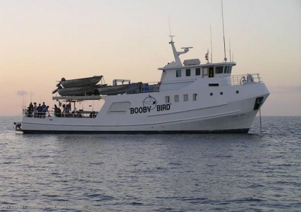 1974 Custom 23m Steel Passenger Charter Vessel image