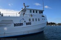 Image for 1974 Custom 23m Steel Passenger Charter Vessel 6