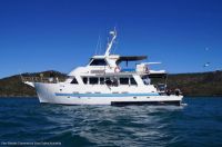 Image for 1980 Striker Flybridge 45