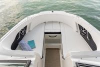 Image for 2024 Sea Ray 190 SPX 6