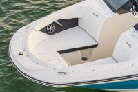 Image for 2024 Sea Ray 190 SPX 7