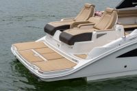 Image for 2025 Sea Ray 290 SDX 1
