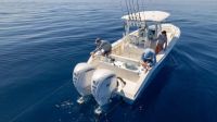 Image for COBIA  301 CC 4
