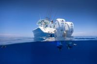 Image for COBIA  301 CC 27