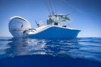 Image for COBIA  301 CC 28