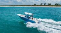 Image for COBIA  301 CC 29