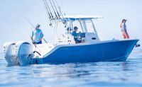 Image for COBIA  301 CC 31