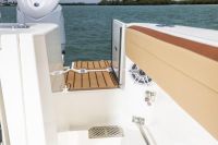 Image for COBIA  265 CC OPEN 24