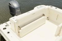 Image for COBIA 220 DC 21