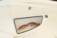 Image for COBIA 220 CC 20