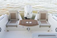 Image for 2024 Boston Whaler 210 Vantage 25