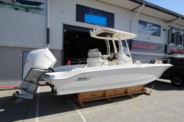 2024 Boston Whaler 250 Dauntless image