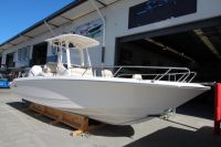 Image for 2024 Boston Whaler 250 Dauntless 2