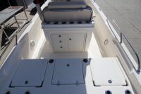 Image for 2024 Boston Whaler 250 Dauntless 4
