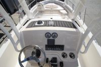 Image for 2024 Boston Whaler 250 Dauntless 19
