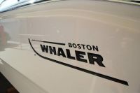 Image for 2024 Boston Whaler 250 Dauntless 21