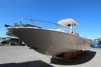 Image for 2024 Boston Whaler 250 Dauntless 22