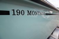 Image for 2024 Boston Whaler 190 Montauk 21