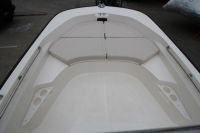 Image for 2024 Boston Whaler 170 Montauk 12