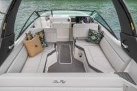 Image for 2025 Sea Ray 250 SDX 19