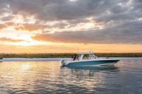 Image for 2024 Boston Whaler 380 Realm 41