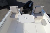Image for 2023 Boston Whaler 210 Montauk 25