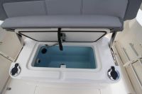 Image for 2024 Boston Whaler 230 Outrage 12