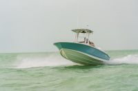 Image for 2024 Boston Whaler 250 Dauntless 0