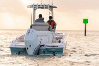 Image for 2024 Boston Whaler 250 Dauntless 2
