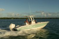 Image for 2024 Boston Whaler 250 Dauntless 5