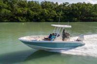 Image for 2024 Boston Whaler 250 Dauntless 6