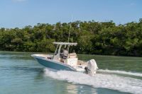 Image for 2024 Boston Whaler 250 Dauntless 31