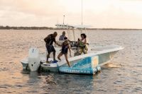 Image for 2024 Boston Whaler 250 Dauntless 32