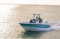 Image for 2024 Boston Whaler 250 Dauntless 34