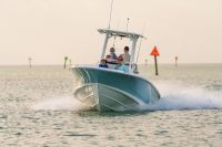 Image for 2024 Boston Whaler 250 Dauntless 35