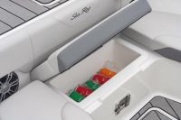 Image for 2025 Sea Ray SDX270 SURF 4