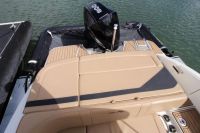 Image for 2022 Sea Ray 210 SPX OB 10