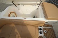 Image for 2023 Sea Ray 230 SPX OB 17