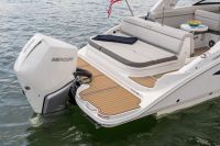Image for SEA RAY SDX270 OB 13