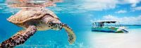 Image for MARINE BUSINESS Marine Business 6