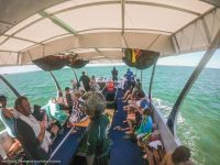 Image for 1990 Custom Glass Bottom Tourist Passenger Vessel 7