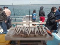 Image for MARINE BUSINESS Marine Business 1