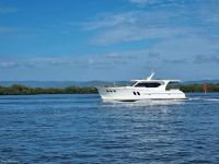 Image for 2024 Island Gypsy 50 Wide Body 1