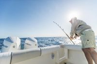 Image for 300 HP Verado 3