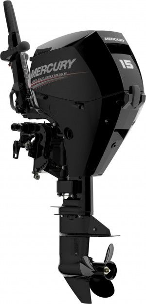 Image for 15 HP EFI Fourstroke 0