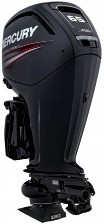 Mercury 65 HP Jet FourStroke image