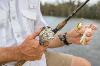 Image for 200 HP Sea Pro Fourstroke 2