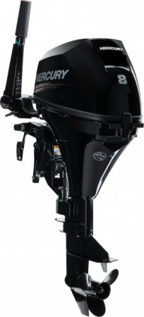 8 HP Fourstroke image