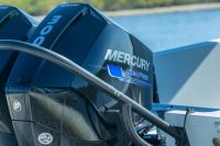 Image for 300 HP Sea Pro 0